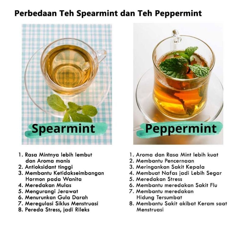 Have Must Spearmint tea / PCOS daun mint isi 20 teh celup & 30 Organic Multi - Image 4