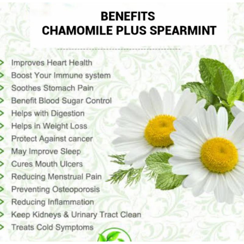 Chic Fashion ELIF TEA Chamomile Spearmint PCOS & Daun Pure Herbal Series 30 Bag Travel Portable - Image 2