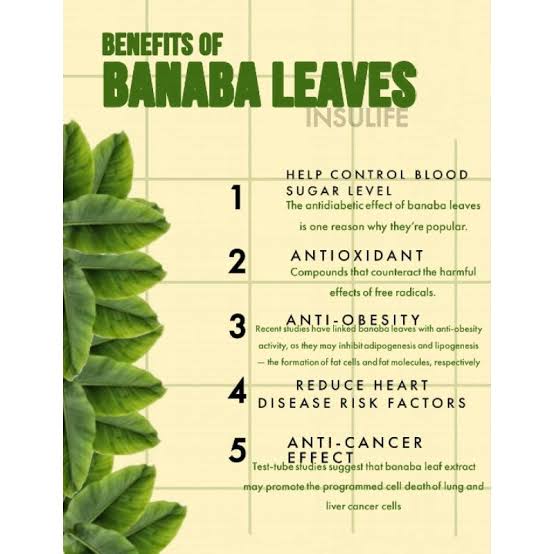 Purpose Premium ELIF TEA Banaba Leaf isi 30 Quality - Image 2