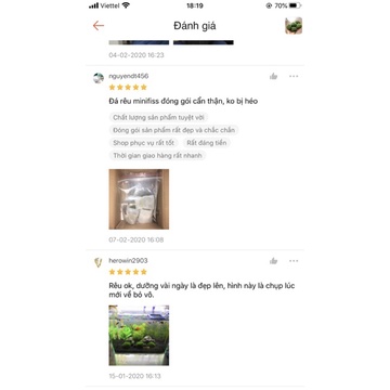 Must Reliable Leaf MINIFISS Moss Stone Landscape Decoration Have Purpose - Image 5