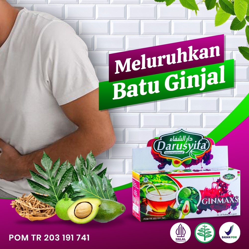 Premium Reliable Teh Celup D Gin Detok Ginjal Darusyifa Alami Daun Sukun Plus Alpukat Obat Atasi Rematik Asam Urat & ... - Image 5