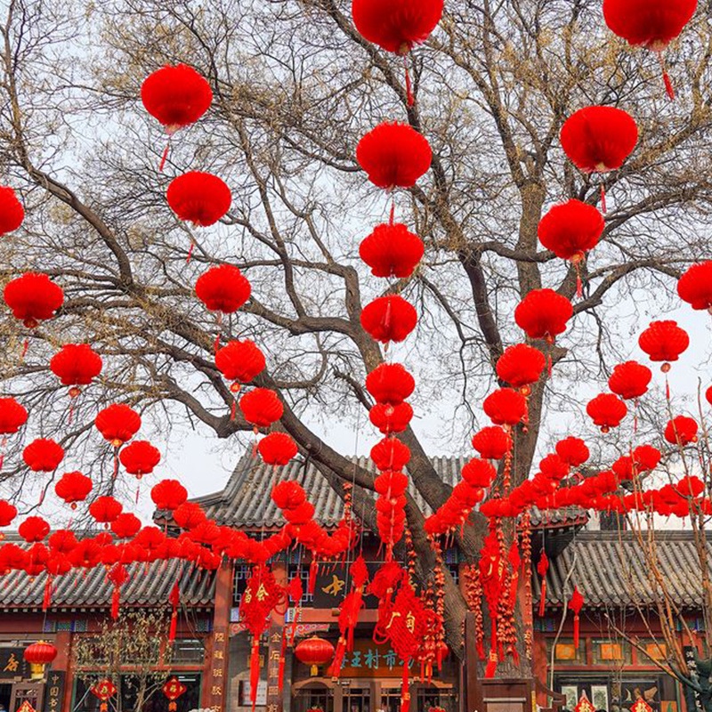 Red Lantern Honeycomb Lanterns 新年春节小纸灯笼 Spring Festival CNY Decor