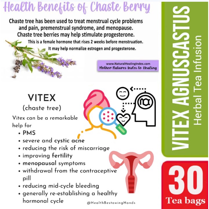 Trendy Outdoor Teh Spearmint Vitex Tulen | Herbal Tea PCOS Promil 30 Bags Casual - Image 3