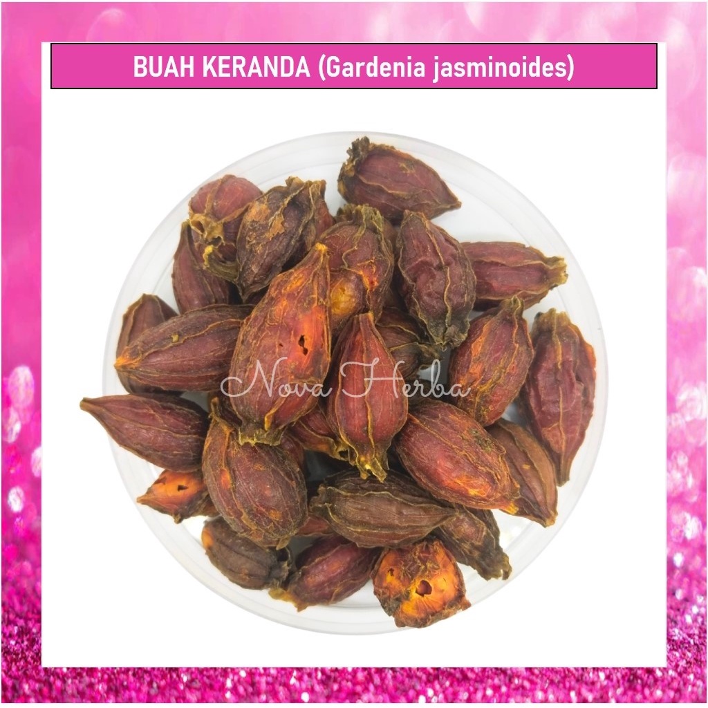 Buah Keranda (50g) | Gardenia jasminoides | Herba Mandian Bayi Demam Kuning / Jaundis | Cape Jasmine | Buah Kuning