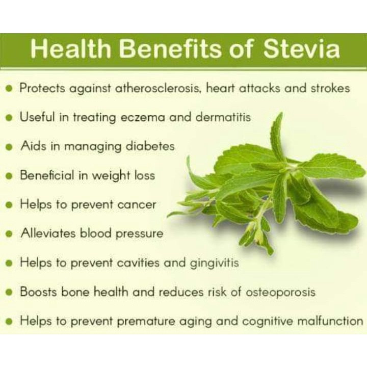 Versatile Must Sweet Spearmint Tea Natural Herbal Mint Stevia Sugar - Image 2