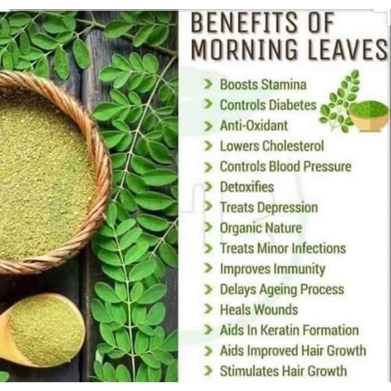 Have Versatile Tempatan Moringa Teh Daun Kelor 30 Tea Uncang - Image 2