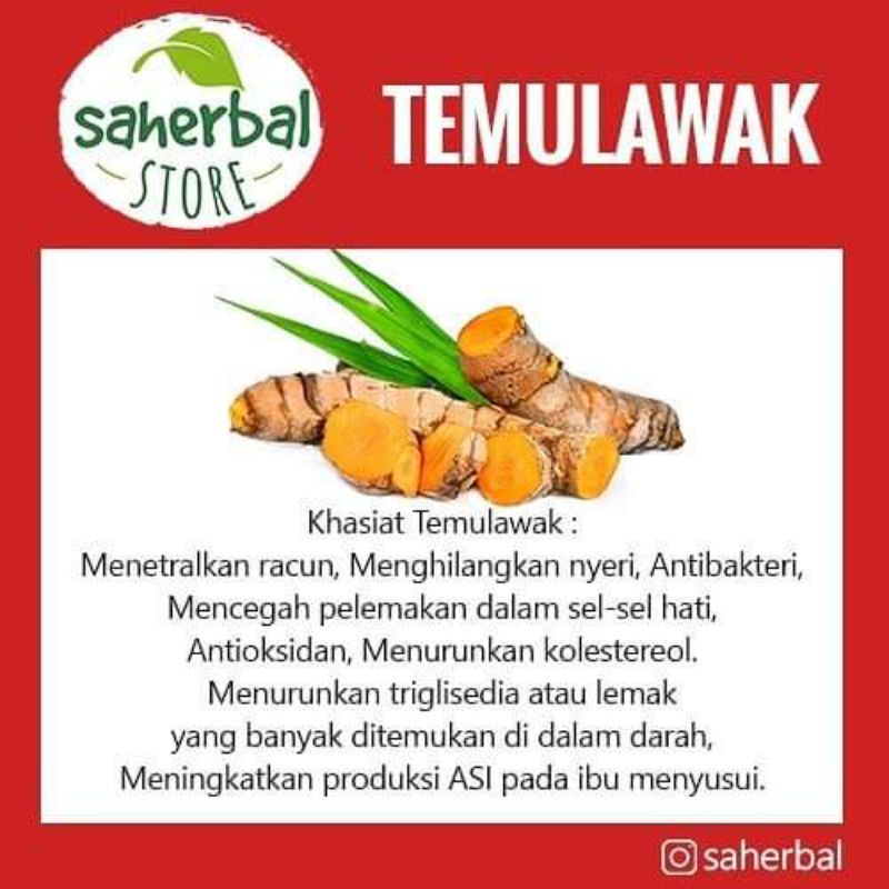 Travel Trendy Curcuma Root Tea : Teh Temulawak Pure 100% Organic 30 Bag x1 - Image 3