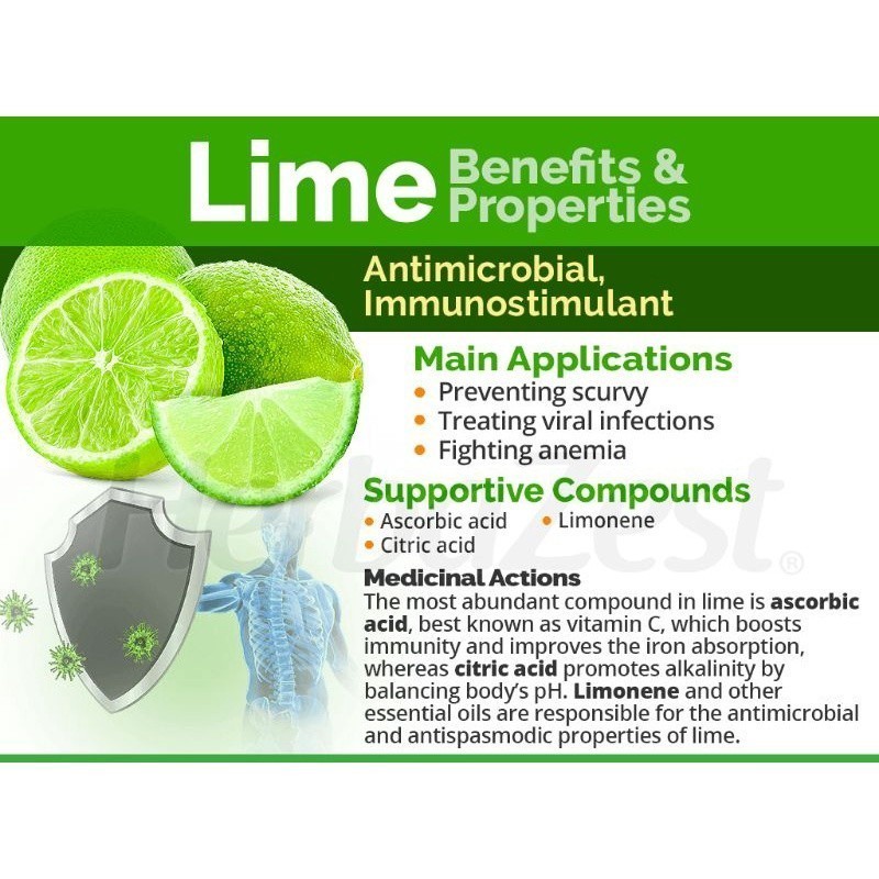 Trendy Casual Spearmint Lime Fruit Herbal Tea Isi 30 Bag x1 - Image 4