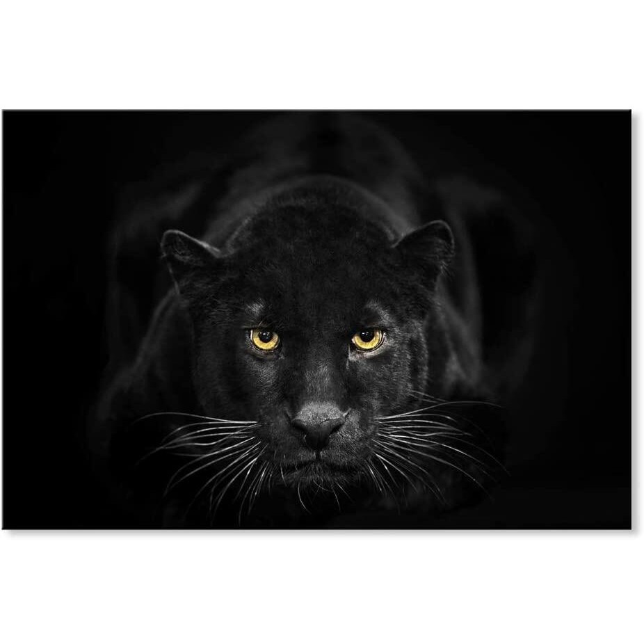 Black Panther Poster Print Black and White Leopard Wall Art Wildlife Animals Picture Canvas Prints Framed Artwork For Living Room Bedroom Office Deco