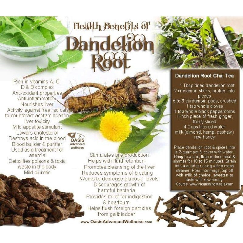 Portable Fashion Roasted Dandelion Root Tea : Super Detox Isi 30 Bag x1 Trendy - Image 2