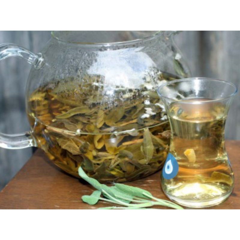 Premium Essential Sage Leaf Loose Tea / Teh Daun PCOS antioxidant Have - Image 2