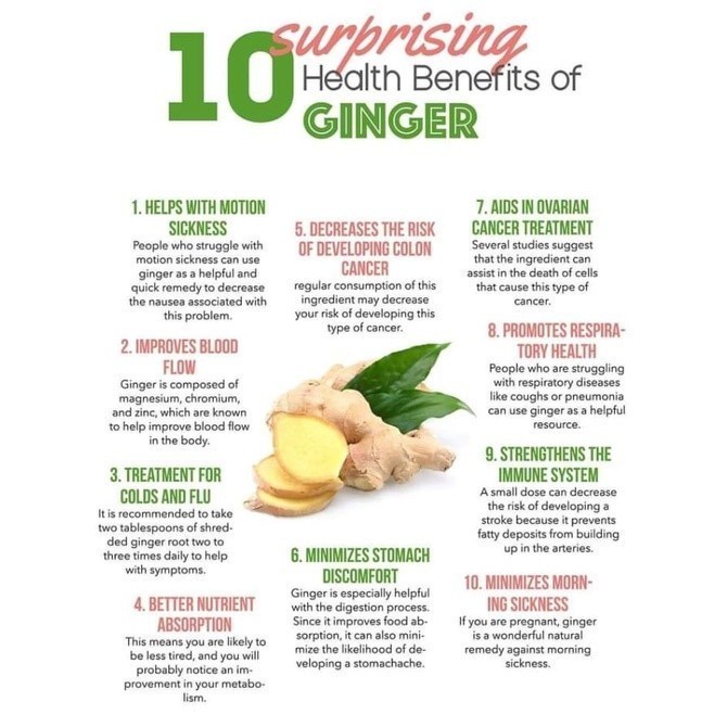 Portable Fashion Moringa Leaf Tea 30 Bag | Teh Tulen - Image 5