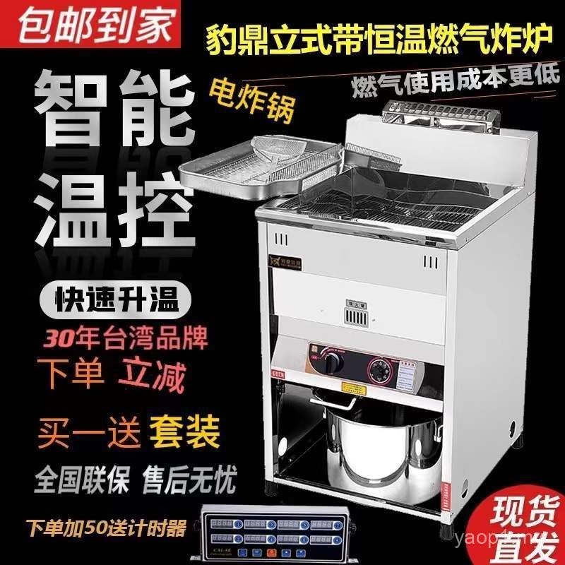 Leopard Electric Fryer Fried Chicken Cutlet Commercial Electric Fryer Large Capacity Fryer Electric Heating Fryer Single Cylinder Vertical Fryer
