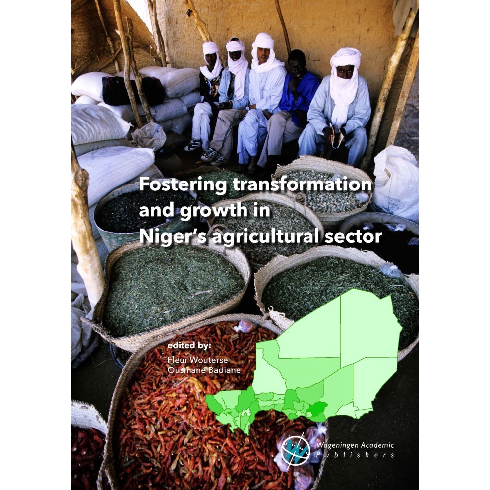 Fostering transformation and growth in Niger's agricultural