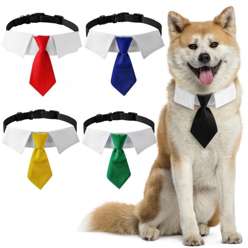 Pet tie fake tie cap supplies dog suit tie cap collar