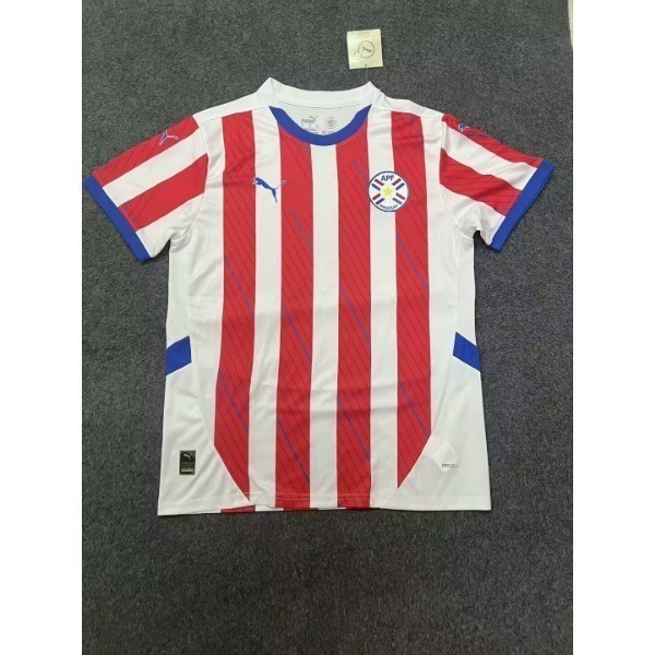 24-25 Paraguay home and away S-4XL fans present jerseys and sweatshirts football sports top