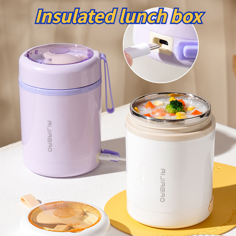 600ML USB Electric Heating Lunch Box,Stainless Steel 304 Thermal Lunch Box with Bag,Adult Student Portable Picnic Milk Drink Food Heater, Double Layer Bento Box Food Warmer