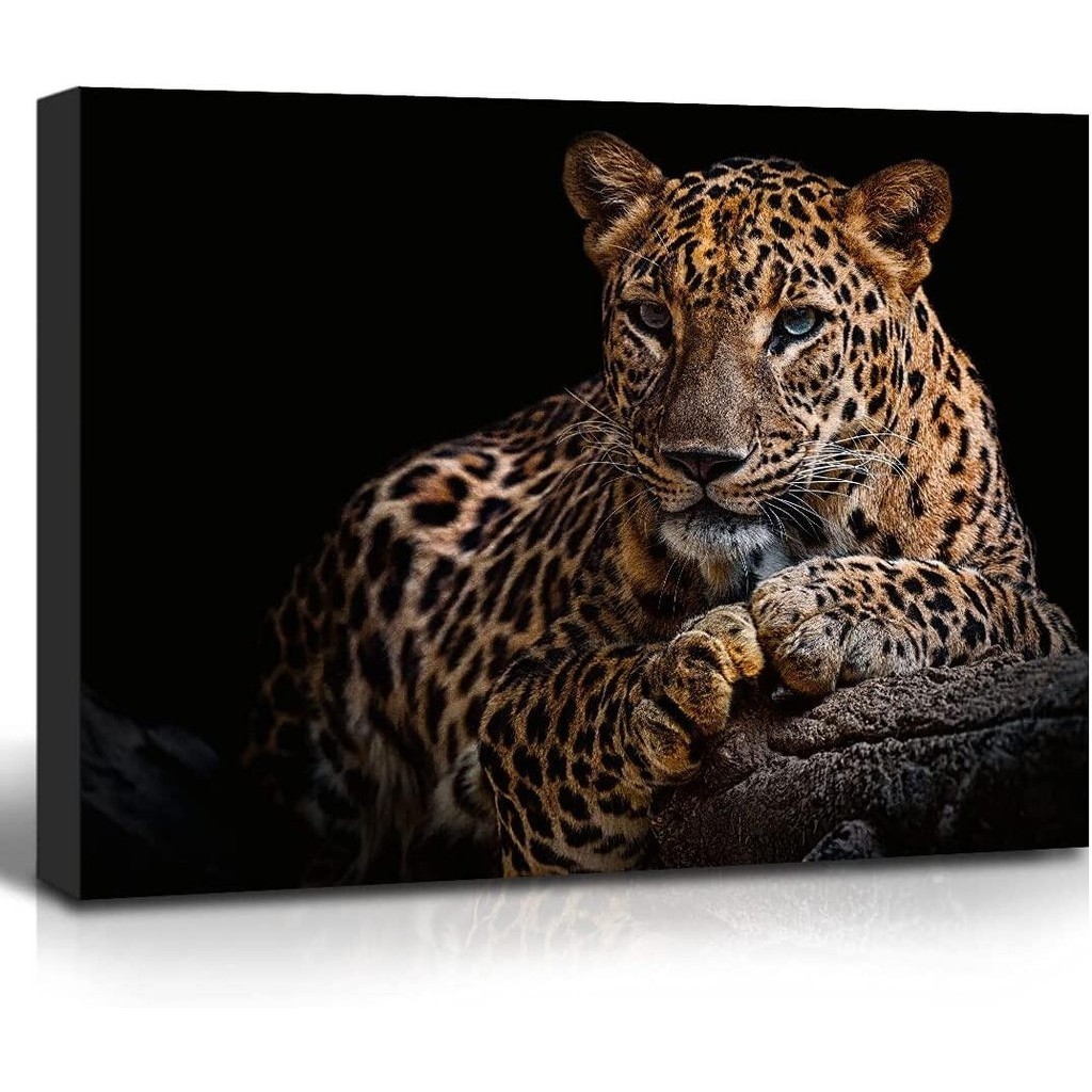 Leopard Canvas Prints Black Background Den Wildlife Animal Leopard Wall Art Cheetah Pictures Artwork For Bathroom Bedroom Office Living Room Hallway P