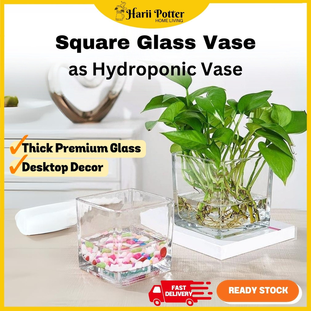 Hydroponic Clear Transparent Mini Square Glass Vase For Small Plant Flower Pot Fish Tank Hydroponik Deco Pasu Gelas Kaca