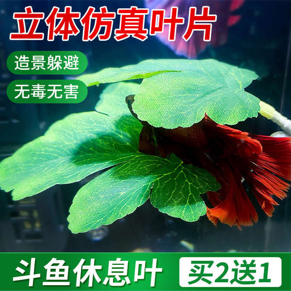 Fish tank landscaping suction cup ornaments Betta Fish Bed Resting Leaf Safe Leaf Bed avoid leaves HOTSELLING Natural Environment simulated water plants Aquariums Decorations ♙Dou Fish Rest Leaf Lazy Man Leaf Sleeping Bed Thai Chinese Dou Fish Speci