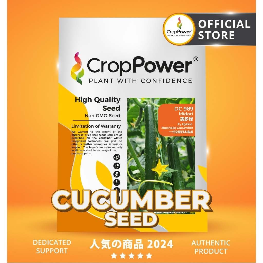 TOP RATED (10 GRAM) Biji Benih Timun Jepun Midori 美多绿 DC989 CROP POWER Japanese Cucumber Seed 日本黄瓜种子 DC 989