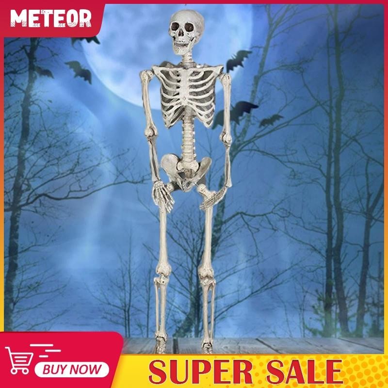 [meteorMY] Halloween Skeleton Decoration Sculpture 65inch Full Body Joints Skeletons