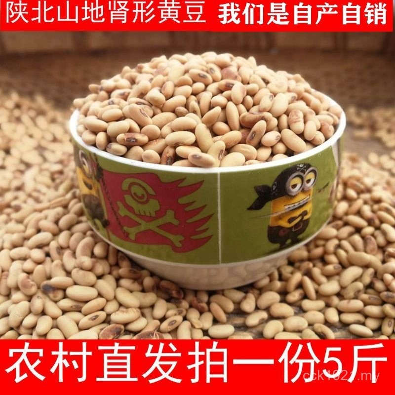 Multigrain Soy Milk New Product Home-Grown Tofu Soybean Catty 5 Beibei Farm Earth Soybean Kidney-Shaped Old Varieties Hair Bean Sprouts R