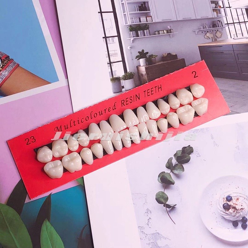 10 sets！28pcs/set Acrylic Denture Resin Teeth Upper Lower Shade 23# A2 Dental