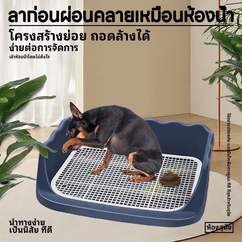 Dog Toilet Pee Training Tray Large Pad 2-Layer Monkey pets