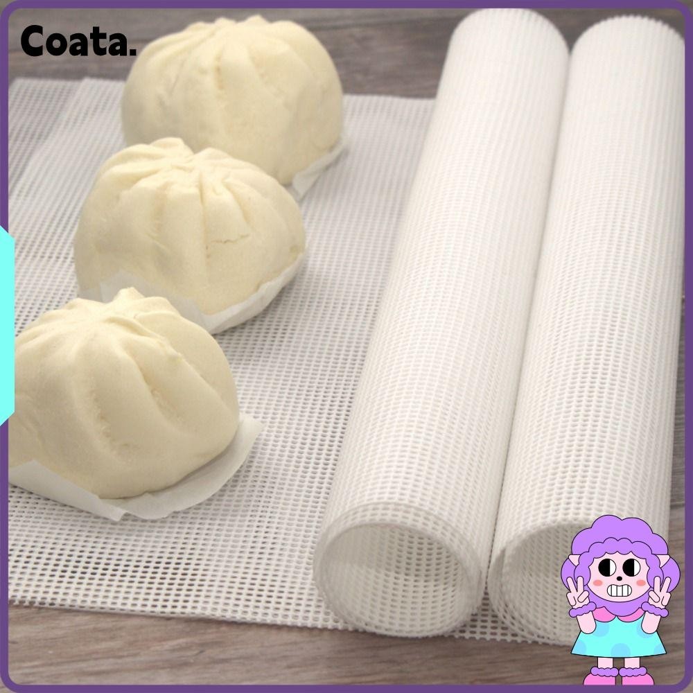 COATA 1Pcs Dehydrator Sheets, Oven Kitchen Accessories Reusable Steamer Mesh Pad, Square Silicone Food Fruit Dryer Non-Stick Baking Mat