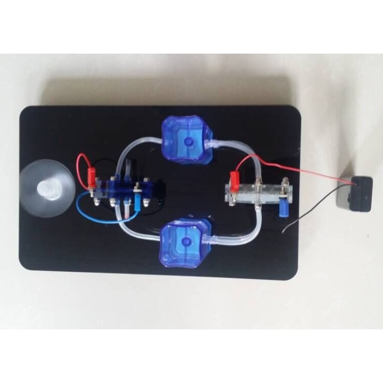 Hydrogen Fuel Battery Teaching Aids Demonstration, Electrolyzed Water Module Power Generation Module spc Electrolyz