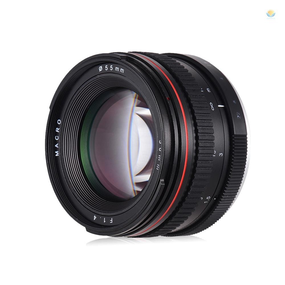 50mm f/1.4 USM Large Aperture Standard Anthropomorphic Focus Lens Camera Lens Low Dispersion for  D7000 D7100 D200 D300 D700 D750 D810 D800 D3200 D3300 D5200 D40 D90 D5500 DSL