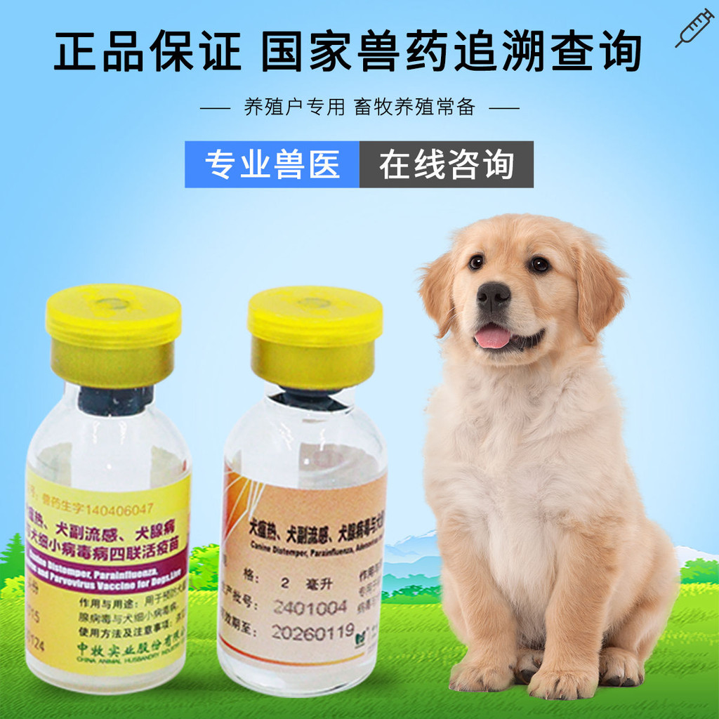 Chinese Shepherd Quadruple Dog Vaccine Pet Canine Distemper中牧犬四联连狗疫苗宠物犬瘟细小犬流感幼犬针剂养殖国产宠物疫苗0827