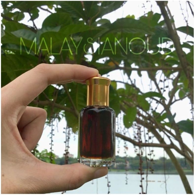 Oud Baling 2020 Co-Distilled Aquilaria Malaccensis and Aquilaria Crassna Kedah Malaysia