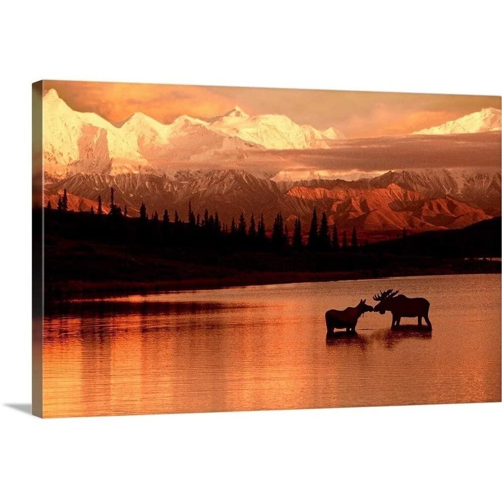 Moose Kissing In Wonder Lake Denali Np Canvas Wall Art Print Wildlife Artwork