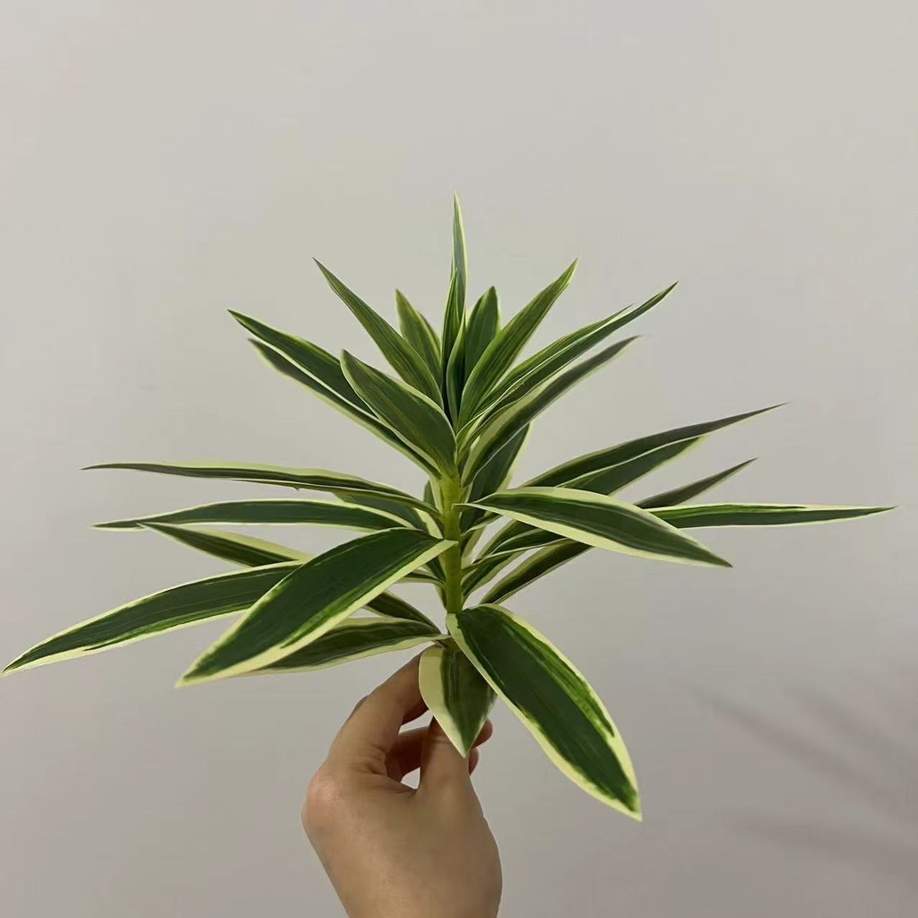 Artificial Dracaena Reflexa Fake Lily Bamboo Green PU Spider Plants for Vase Bouquets Home Office Wedding Decor