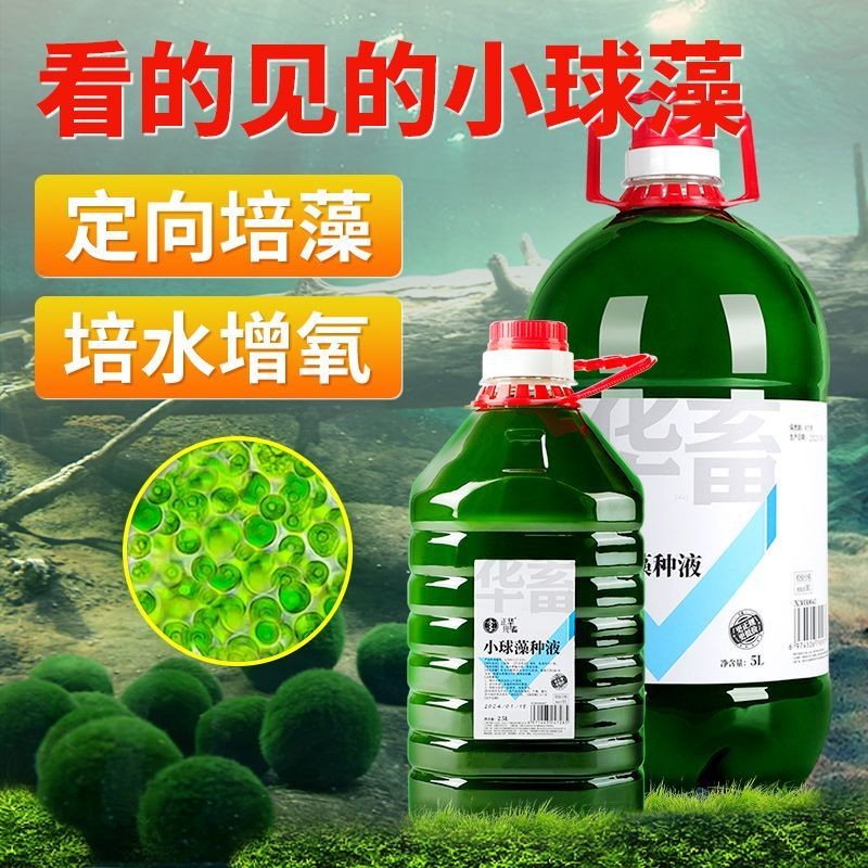Aquarium chlorella algae concentrated algae compound algae fertilizer water culture algae oxygenated aquaculture special chlorella