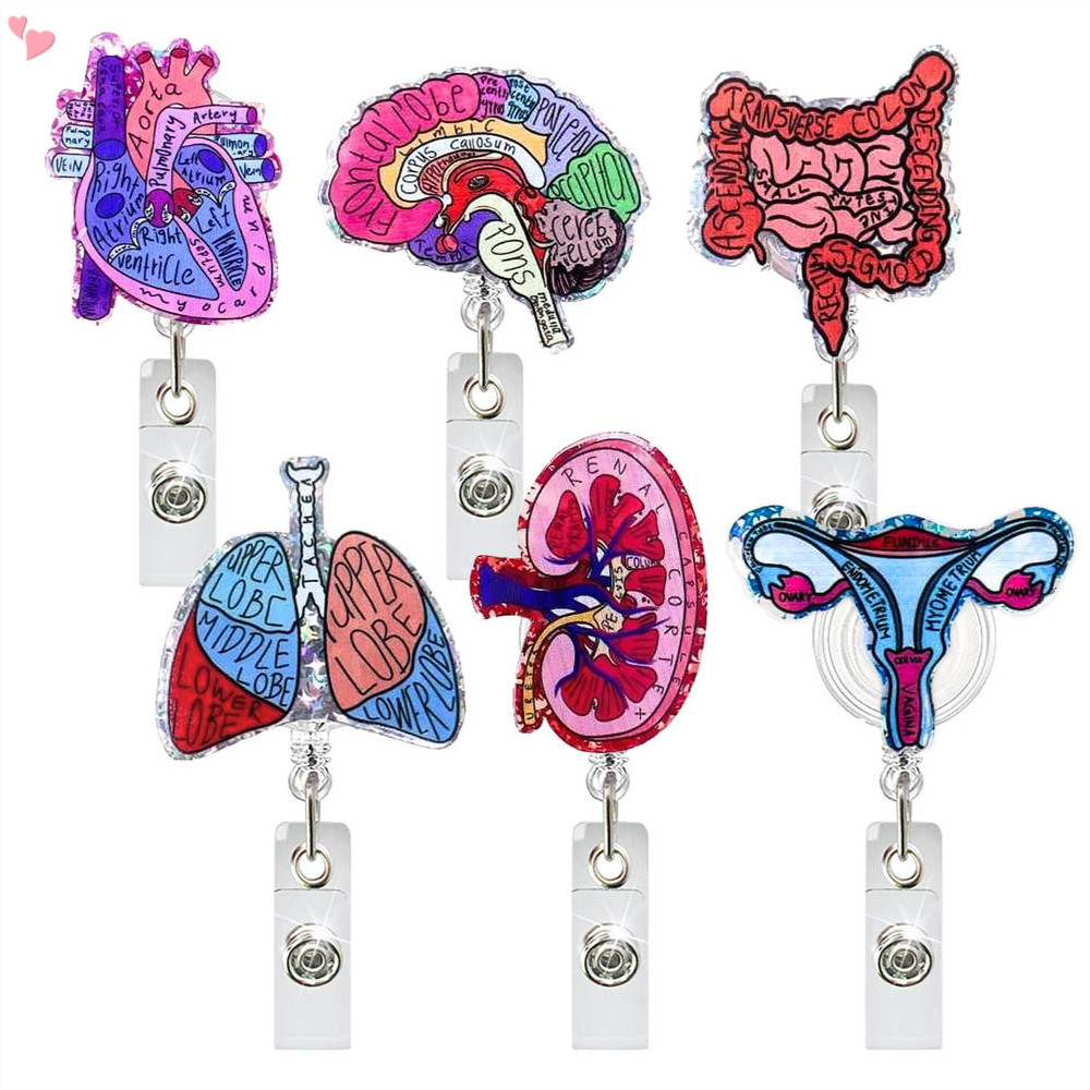 Anatomical Organs Nurse Badge Reels Glitter Retractable Clips Holder for Nurses Healthcare Nursing School Student Anatomy Surgery Heart Brain Lung Kidney Uterus Intestines Accessor