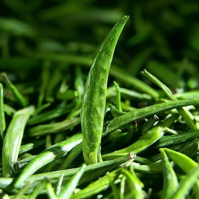 Lian Ningxiang 2025 New Tea Tender Sprout Tongue Tea Authentic Original Alpine Fragrant Anti-Bubble Fur Tip Green Tea Tea Canned Lian Ningxiang 2025 New Tea Tender Sprout Tongue Tea Authentic Original Alpine Fragrant Anti-Bubble Fur Tip Green Tea Tea Cann