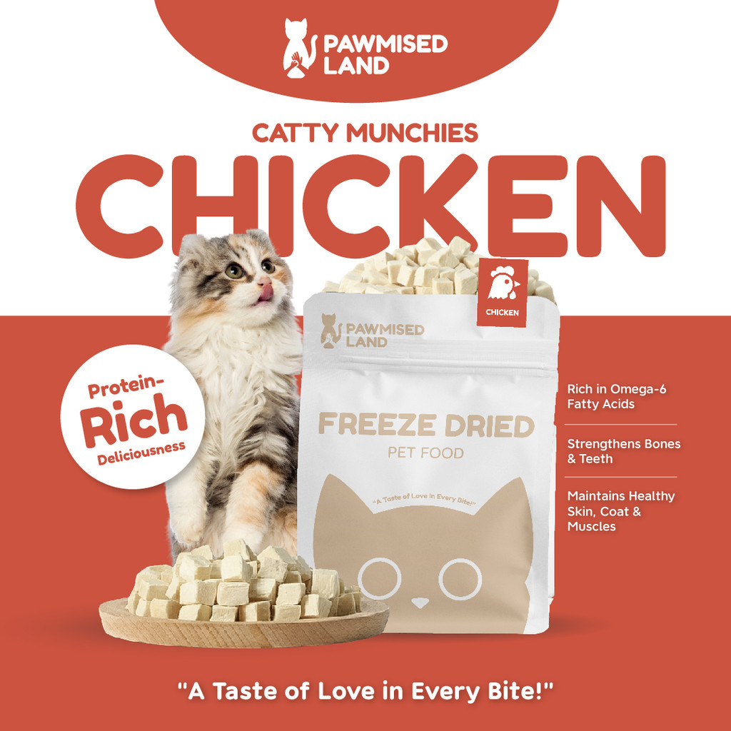 PawmisedLand Catty Munchies - Chicken Freeze Dried Pet Food 125g/375g Premium Treats Pet Food Cat Food Makanan Kucing