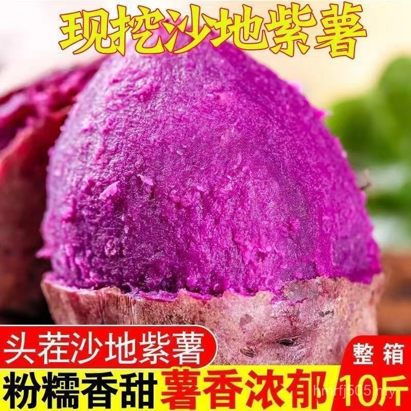 Sandy Purple Potato Sweet Purple Potato Fresh Sweet Potato Authentic Purple Violet Sweet Potato Sweet Potato Sweet Potato Price 5kg 2722 9GRD