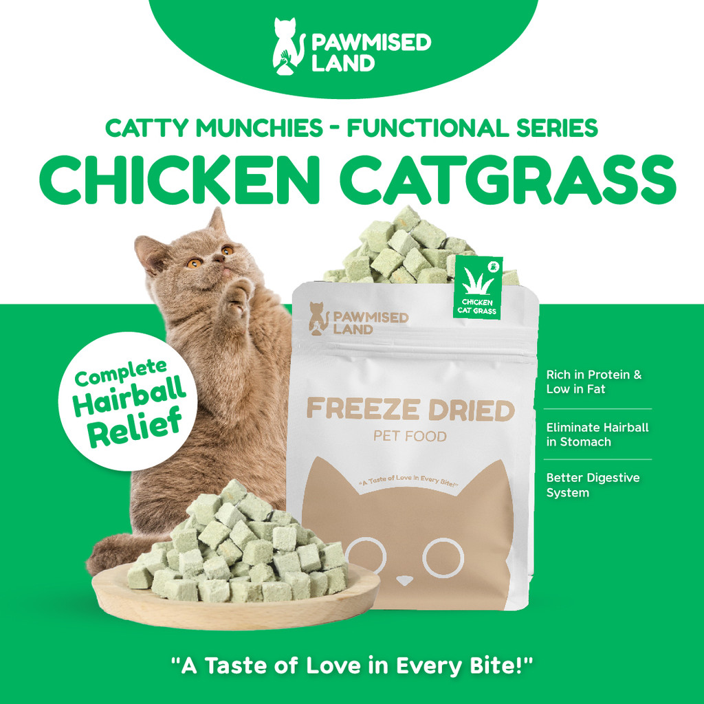 PawmisedLand Catty Munchies - Chicken Catgrass - Functional Series - Freeze Dried 125g Pet Food Cat Food Makanan Kucing