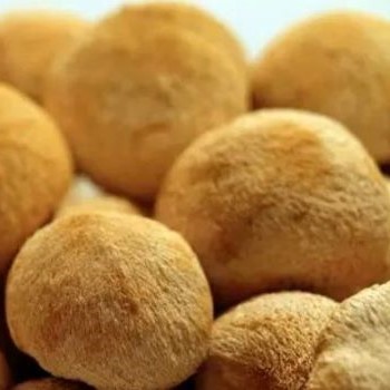 猴头菇 Lion's Mane Mushroom 50g+-