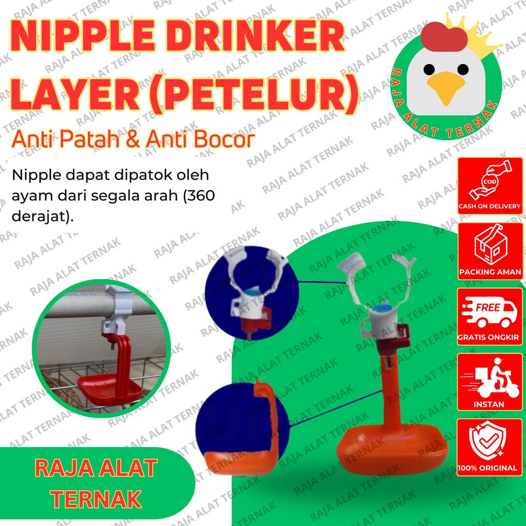 Nipple Drinker Layer Laying Hens Set/Nipple/Nippel/Napel Chicken Drinking Place Automatic Drinking Place - Chicken Coop Farming Equipment