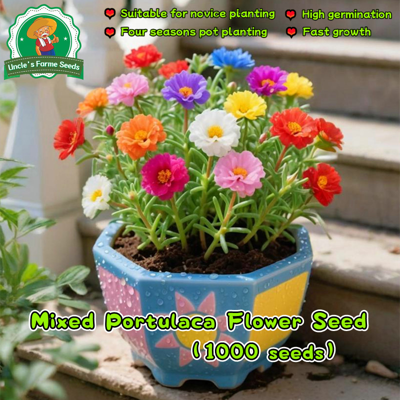 1000PCS Double Petals Mixed Portulaca Seeds Moss Rose Flower Seeds for Gardening Flowering Plants Seeds