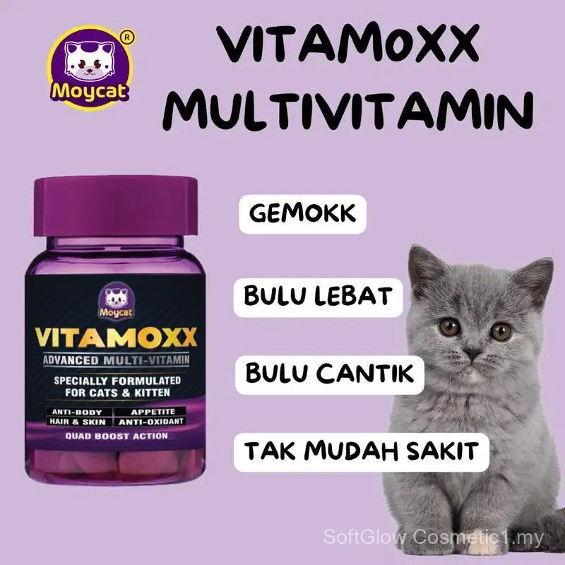 VITAMOXX MULTIVITAMIN KUCING GEMOK BULU CANTIK BEBAS PENYAKIT VITAMAXX