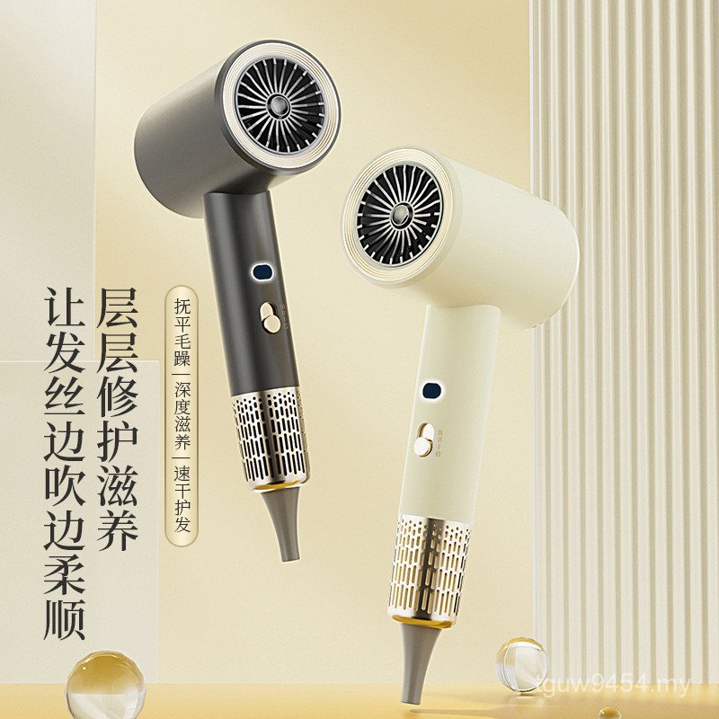 Temperature Control Wind High-Power High-Speed Household Tube Hair Dryer Negative Ion Hair Dryer Large Hair Dryer Hair Care Cross-Border Quick-Drying