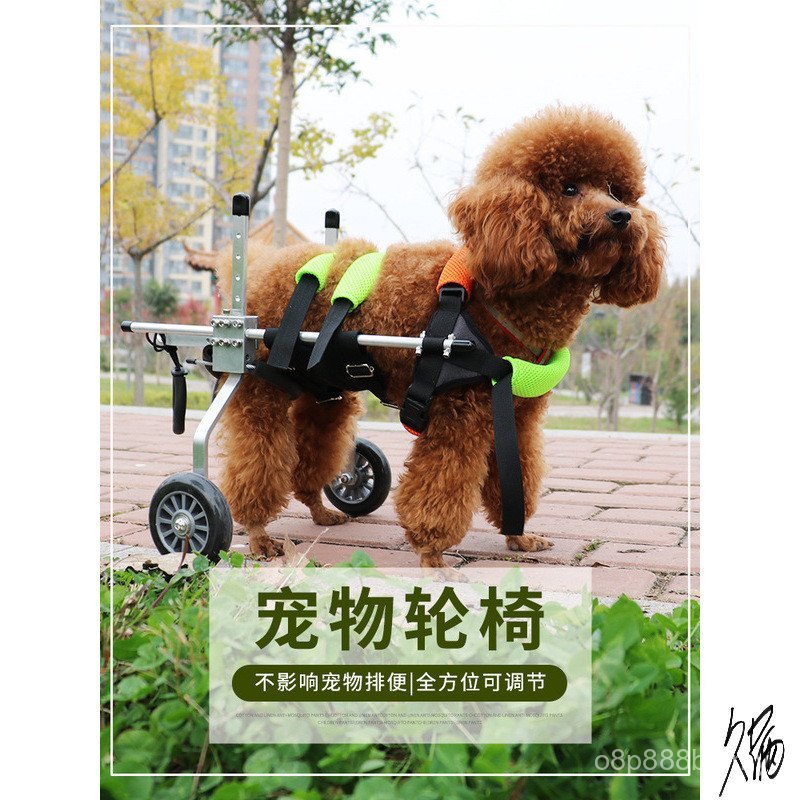 Anjing Lumpuh Kerusi Roda Anggota Belakang Latihan Lumpuh Latihan Tulang Belakang Sokongan Mobiliti Troli untuk Anak Anjing
