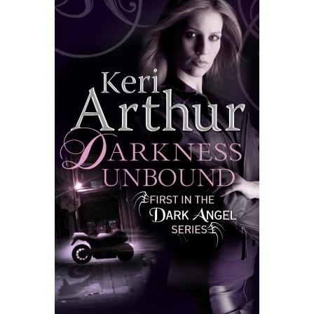 [BnB] USED Darkness Unbound (Dark Angels, #1) by Keri Arthur (Used: Good)