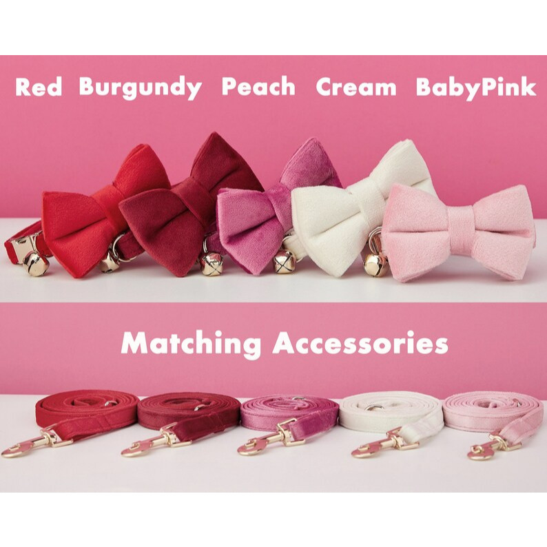 Versatile Must Velvet Personalized Cat Collar Tiny Dog Custom Engraved Kitten Puppy Name Tag Gold Essential - Image 4